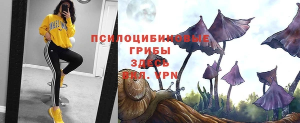 скорость Лагань